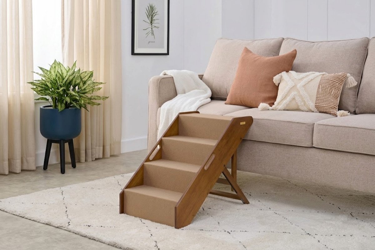Motorized pet tools for furniture and stairs